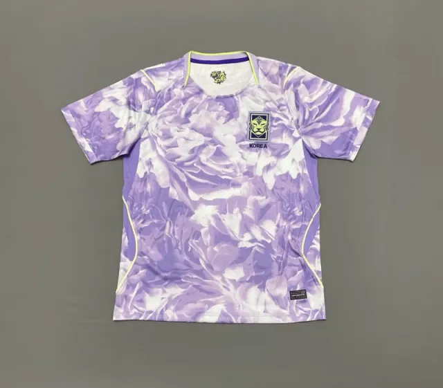 2627 south korea away game