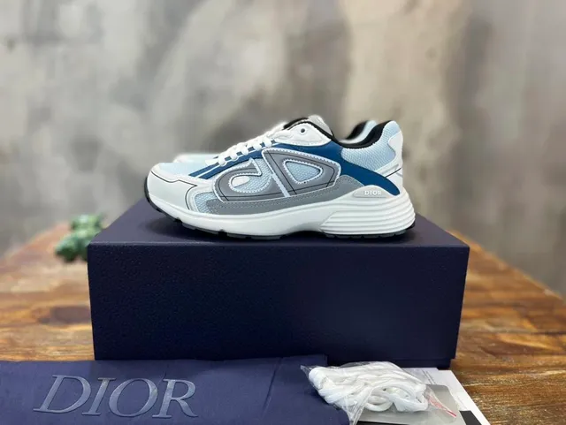 Dior B22 Blue and Grey
