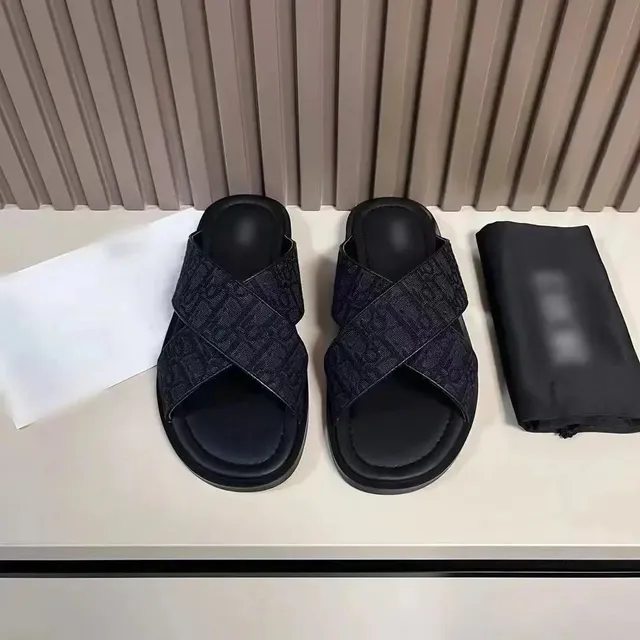 Dior B22 Slide Oblique Logo