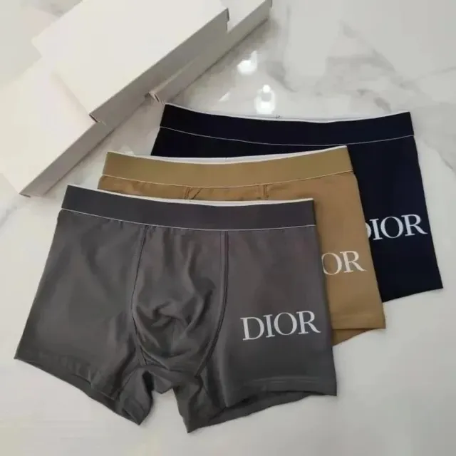 Dior Boxer Briefs Logo Print