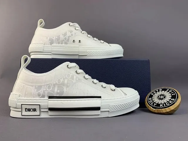 Dior B22 Monogram Canvas