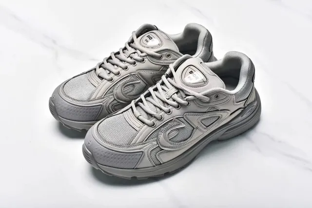 Dior B22 Monochrome Grey