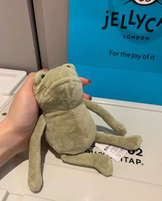 19cm Small Sad Frog
