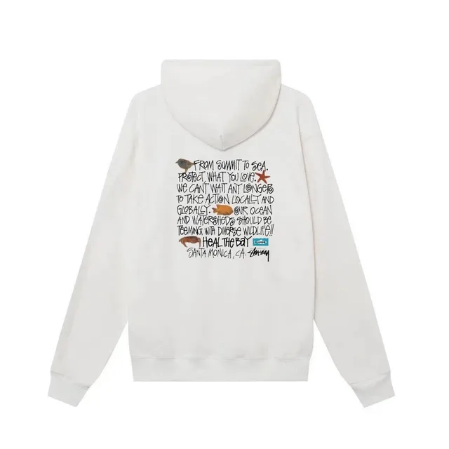 Stüssy Hoodie Heal the Bay Graphic