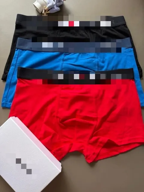 Polo Ralph Lauren Boxer Briefs 3-Pack