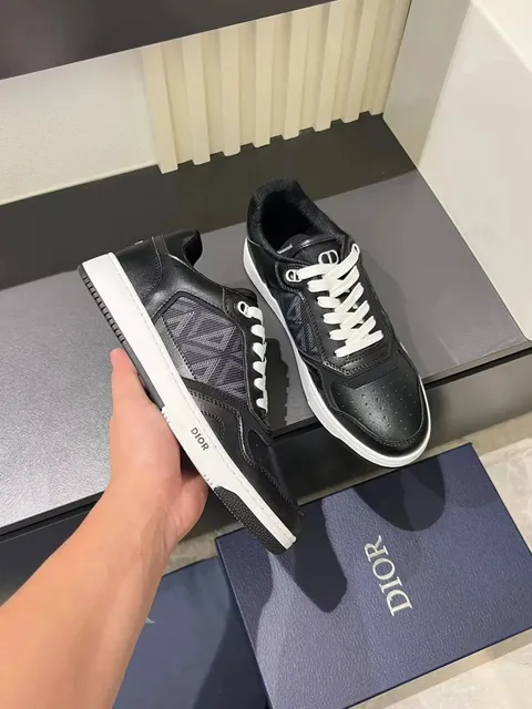 Dior B23 Low Top Oblique Print