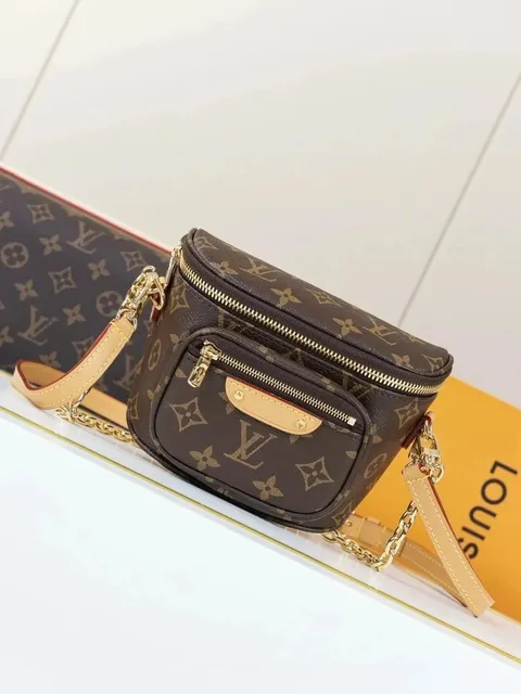 Louis Vuitton On The Go