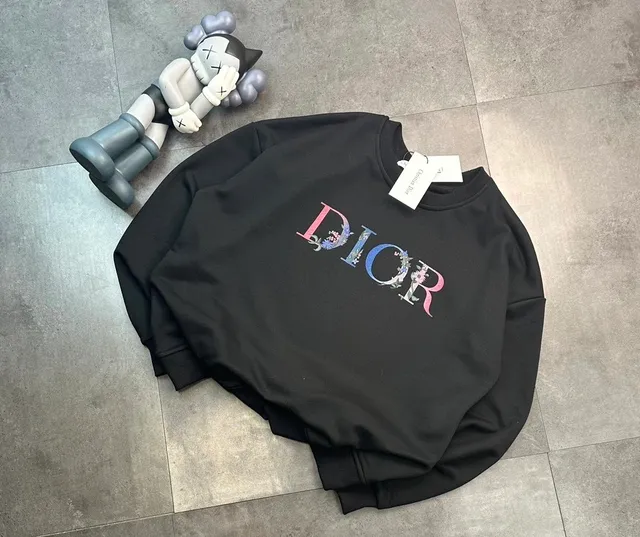 Dior hoodies sweatshirts