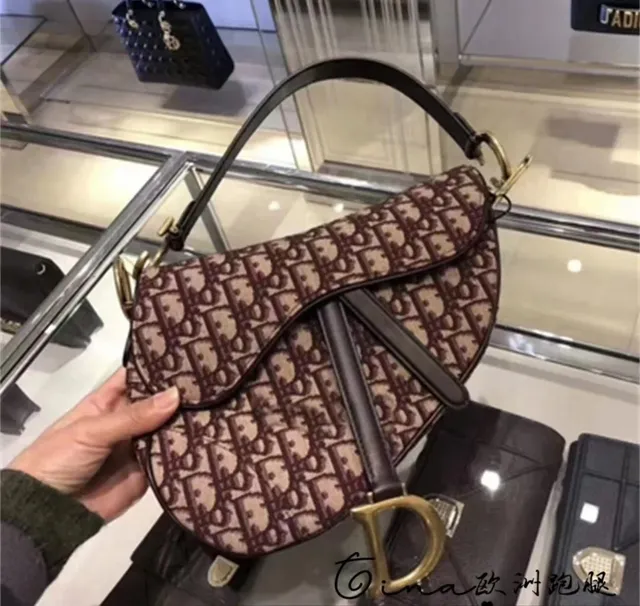 Dior Saddle Bag Oblique Canvas