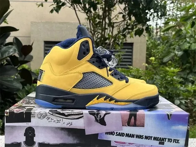 Air Jordan 5 Laney
