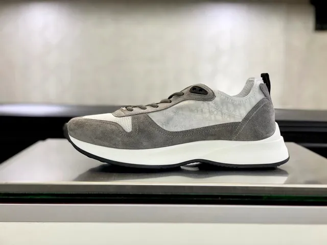 Dior Low-Top Sneaker Grey Suede and Mesh