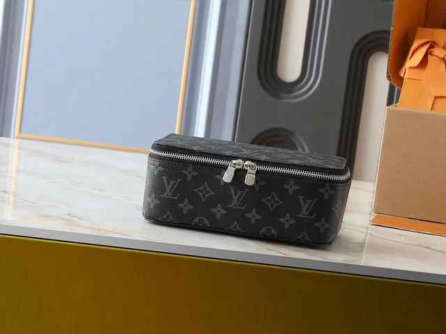 Louis Vuitton Cosmetics Case