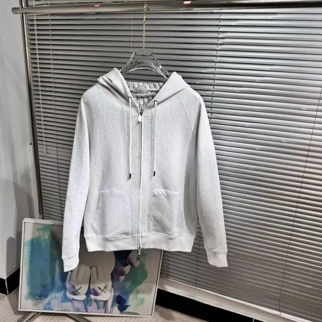 Dior Zip-Up Hoodie Oblivion Grey