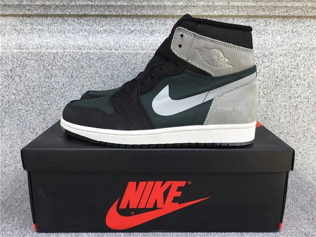 Air Jordan 1 High GORE-TEX