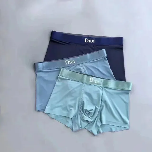 Boxer Briefs Dior Logo Waistband
