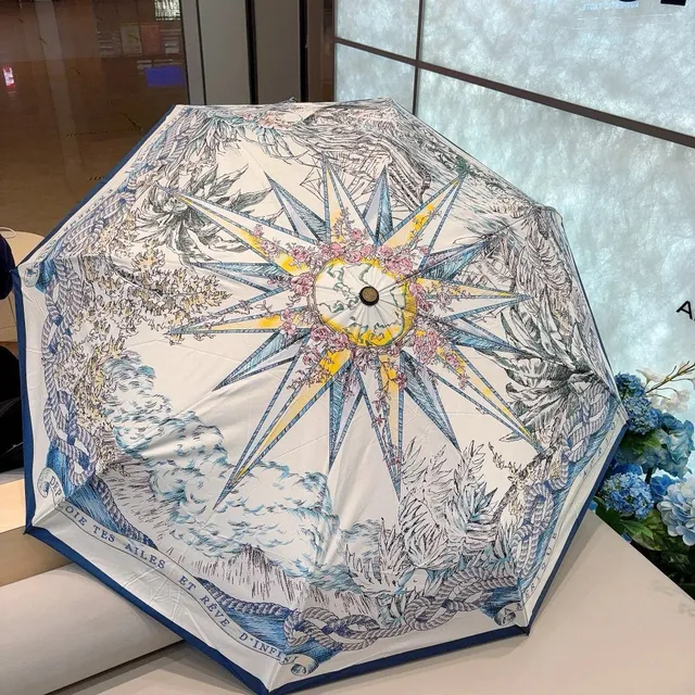 Hermès Umbrella Compass Rose Print