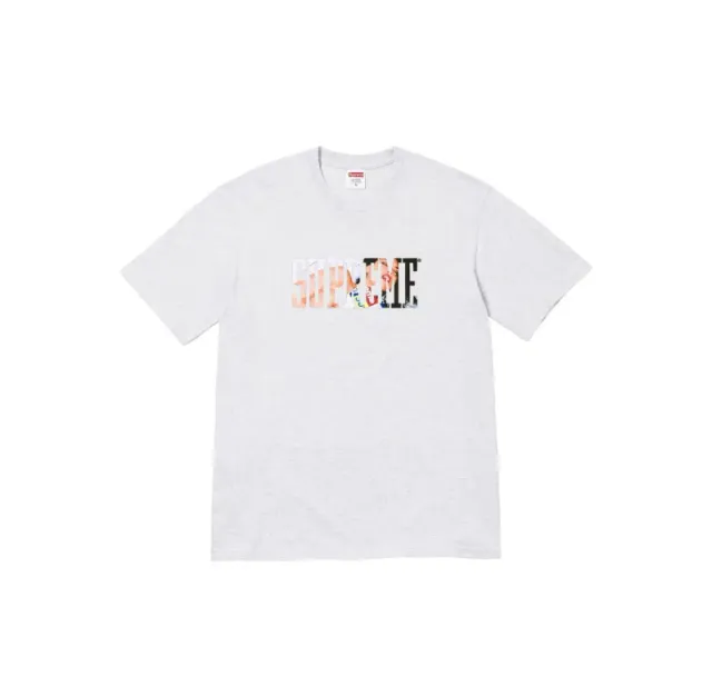 Supreme Box Logo Tee Photographic Box Logo
