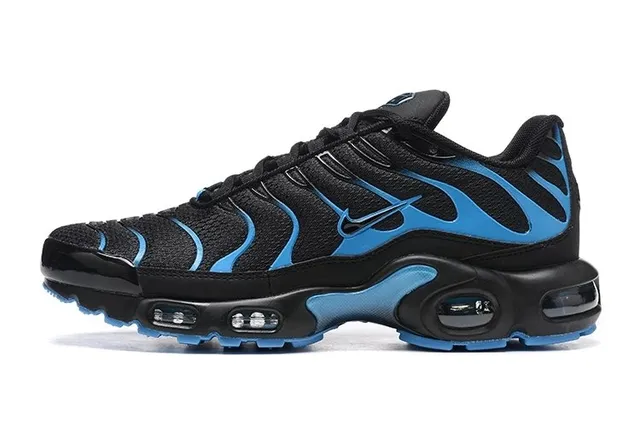 Nike Air Max Plus Black Blue Flame