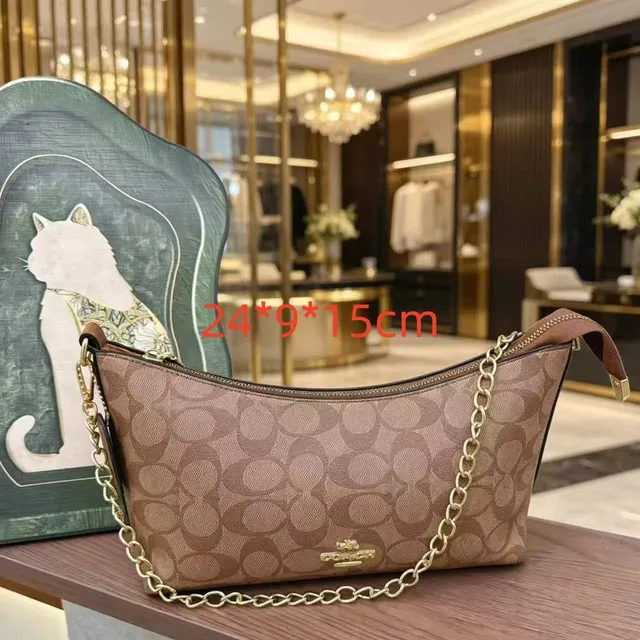 Coach Chain Shoulder Bag