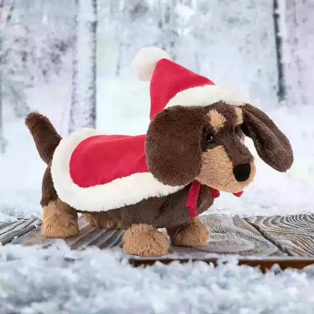 Clothed Sausage Dog