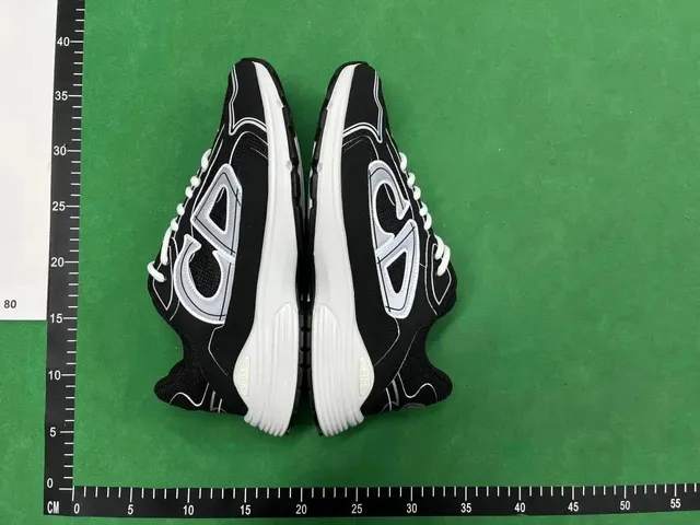 Dior B22 Black White Grey