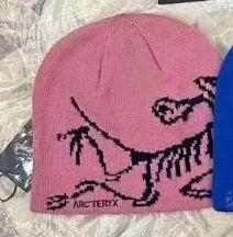 Arc'teryx Beanie Dinosaur Print