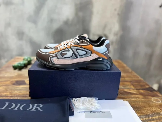Dior B22 Multi-Color