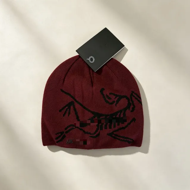 Beanie Arc'teryx Logo