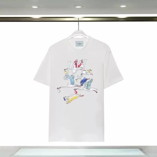 8176白