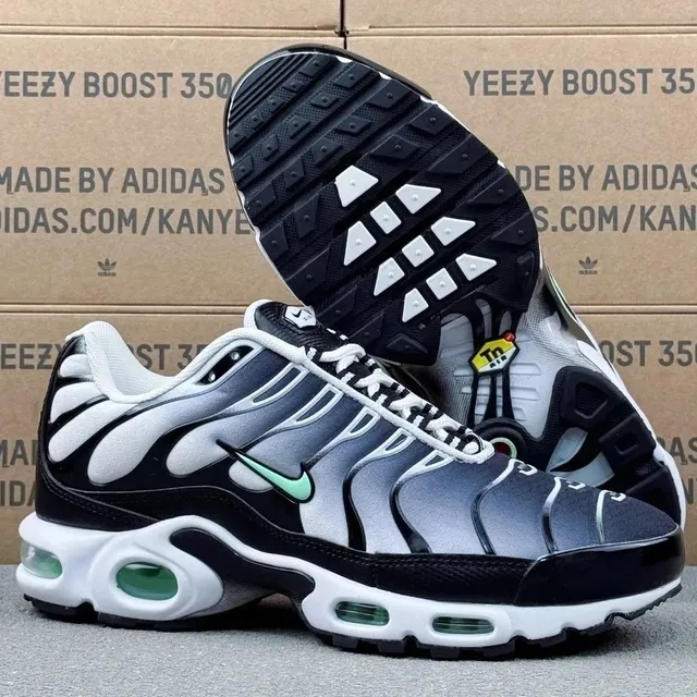 AIR MAX PIUS TN 水墨 718071-231