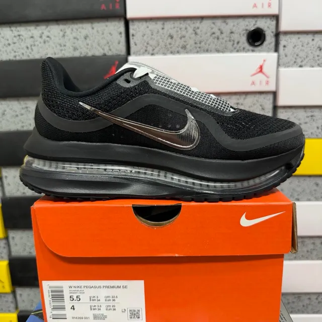 Nike Pegasus Premium SE Silver/Black