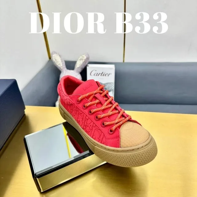 Dior B33