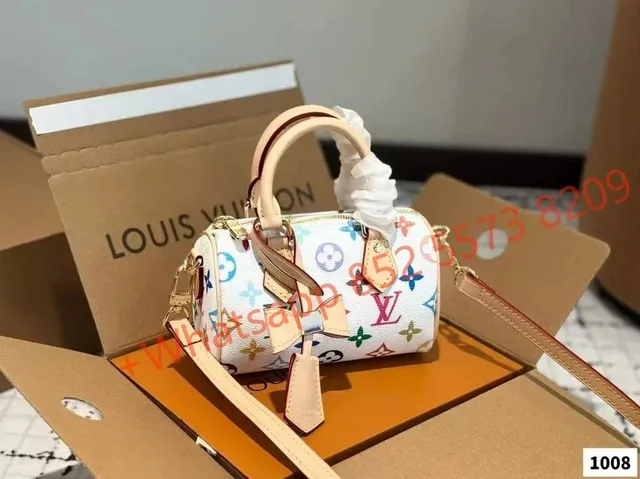 Louis Vuitton Speedy 20 Monogram Multicolore