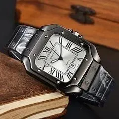 Santos de Cartier Large Steel