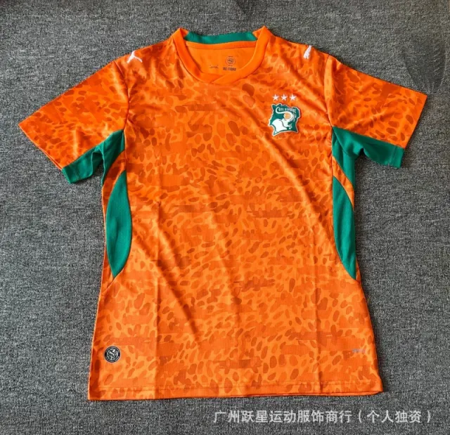 Puma Football Jersey Côte d'Ivoire National Team