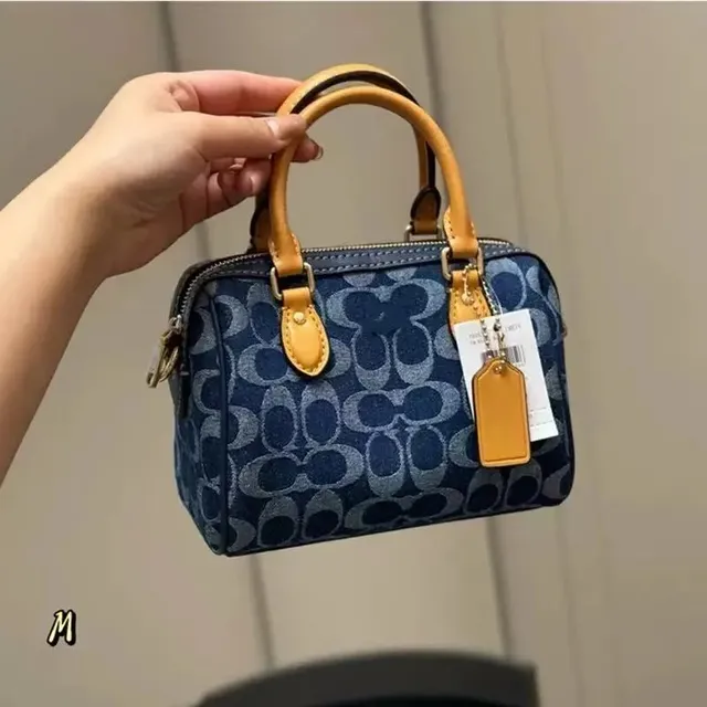 Coach Mini Bag Signature Canvas