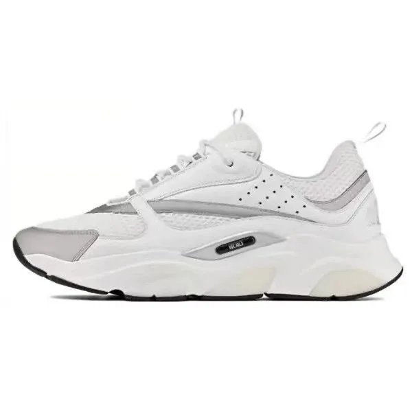 Dior B22 White Grey