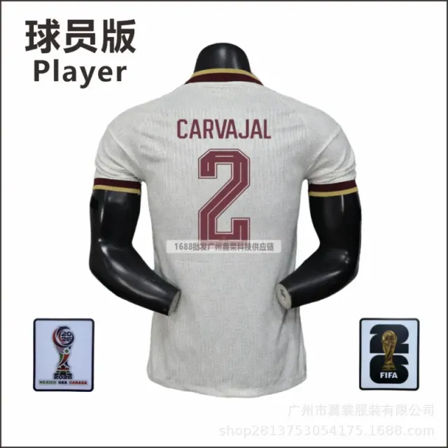 2号(带臂章)