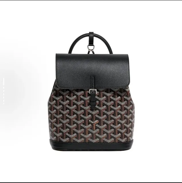 Goyard Saint Louis Backpack Chevron Canvas