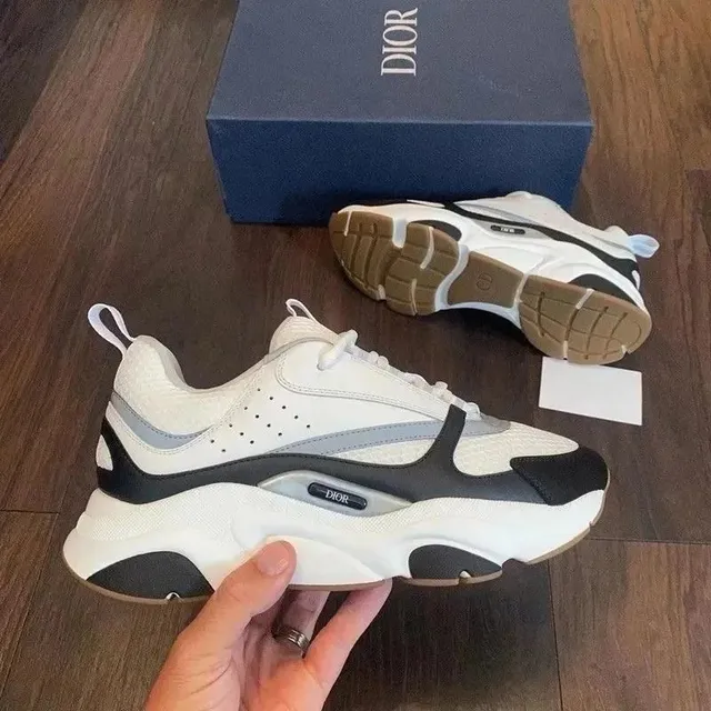 Dior B22 White Black Grey