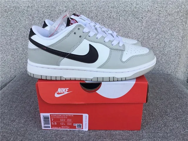 Nike Dunk Low Retro SE Retro