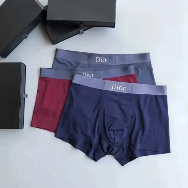 Dior Boxer Brief Logo Waistband