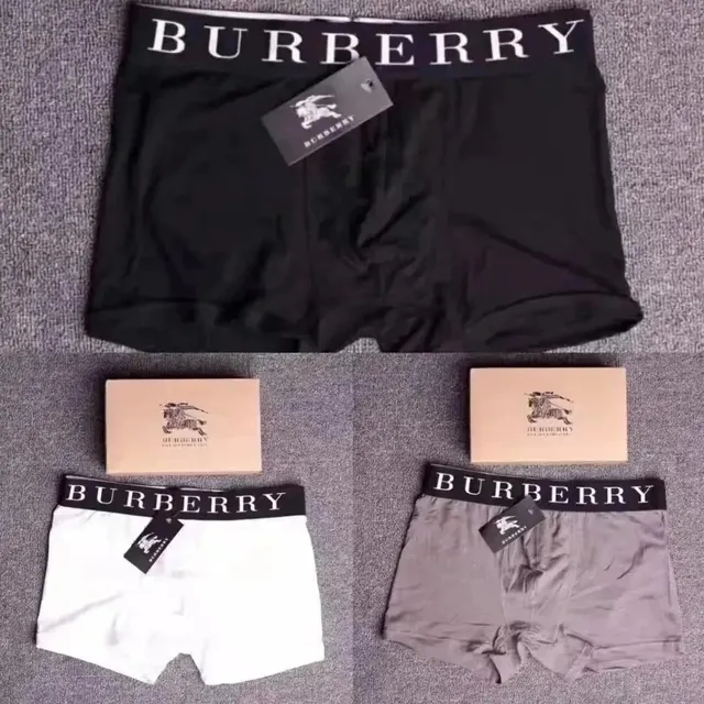 Burberry Boxer Briefs Logo Waistband