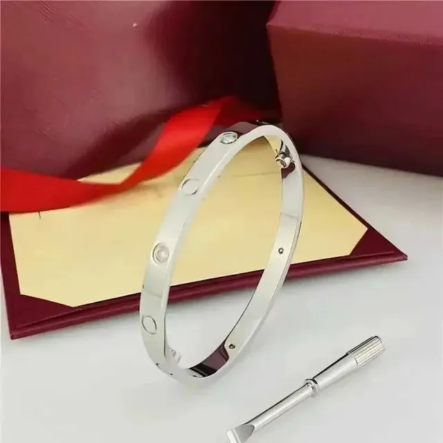 Cartier Juste Un Clou Bracelet Medium