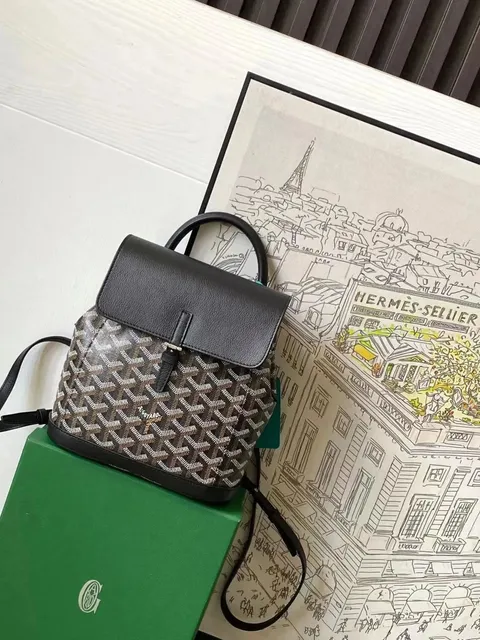 Goyard St. Louis Backpack Goyardine Canvas
