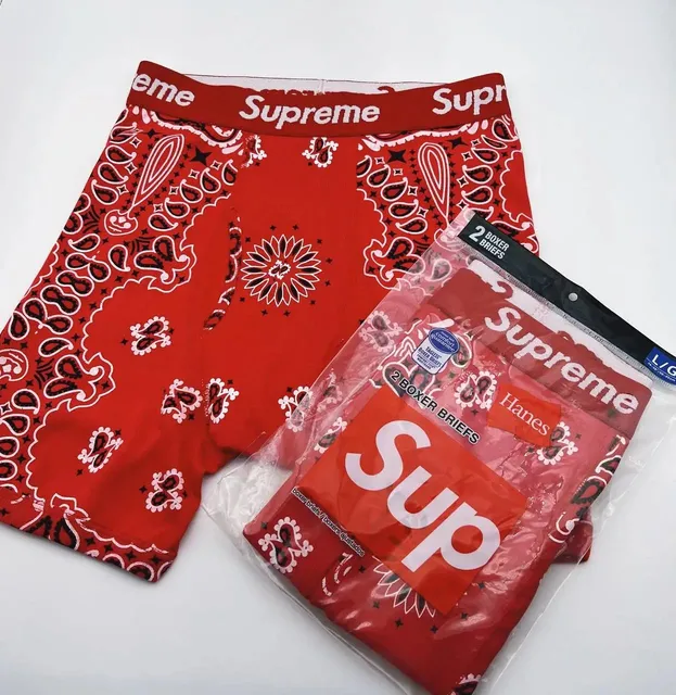 Supreme Boxer Briefs Bandana Print