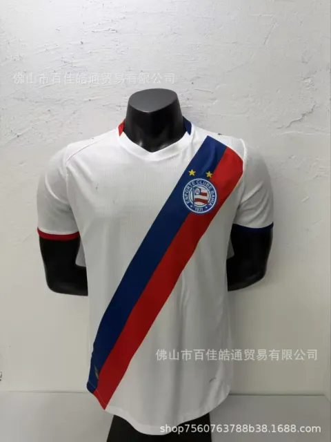 2627巴伊亚主场球员