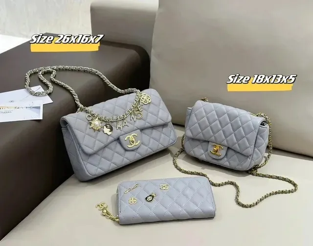 Chanel Classic Flap Quilted with Charm Chain