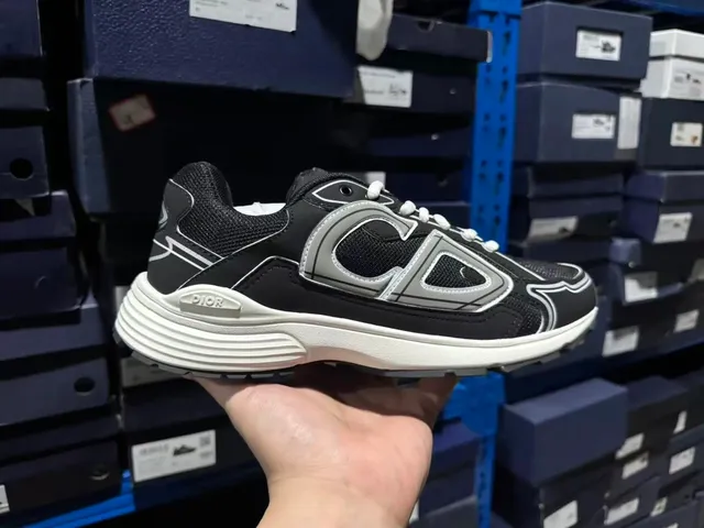 Dior B22 Monogram Logo