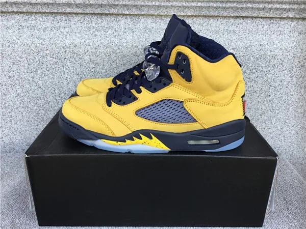 Air Jordan 5 Laney